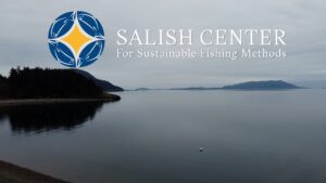 Coho Salmon, Large Fillet - Salish Center For Sustainable Fishing