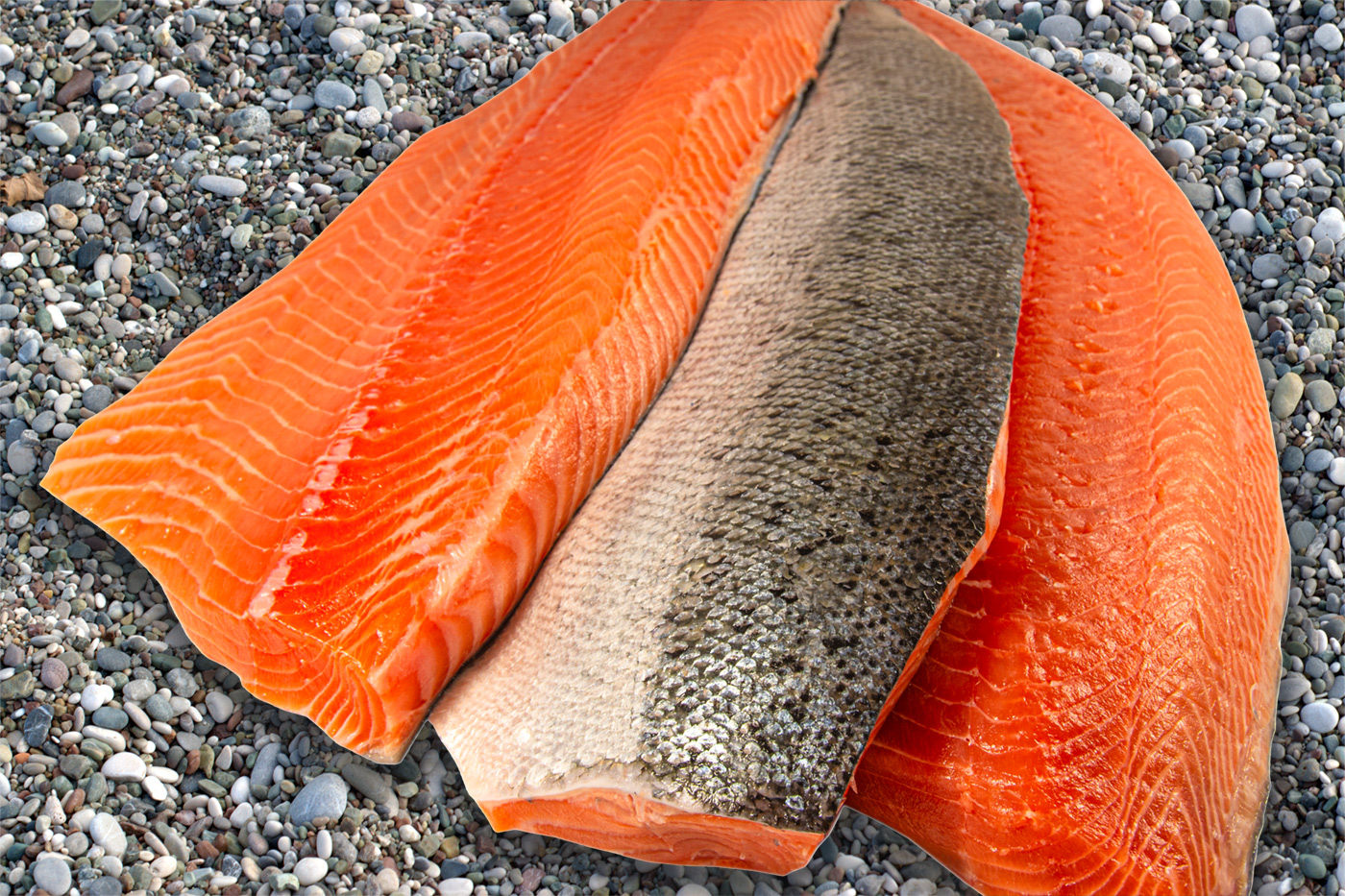 Reefnet caught Sockeye salmon fillet